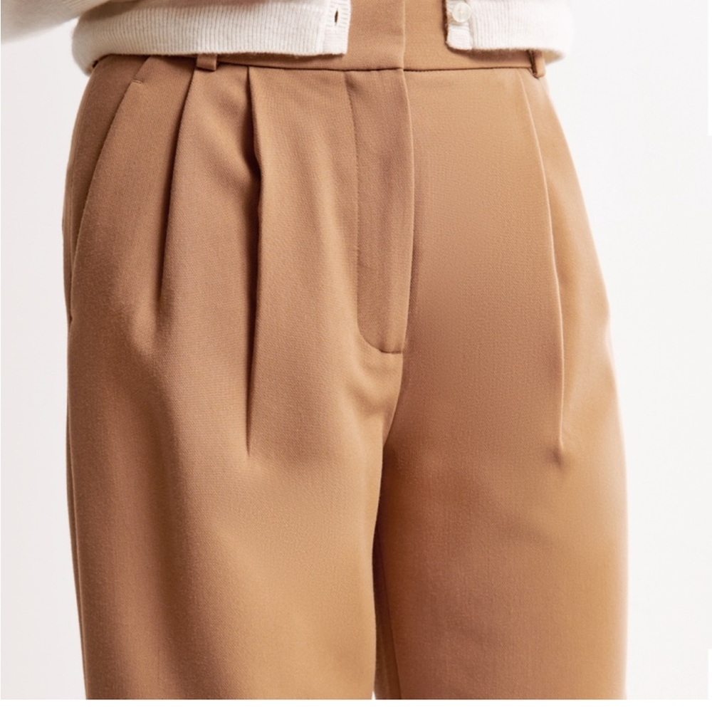 Abercrombie & Fitch Taupe Wide-Leg Pleated Trousers - Picture 2 of 8